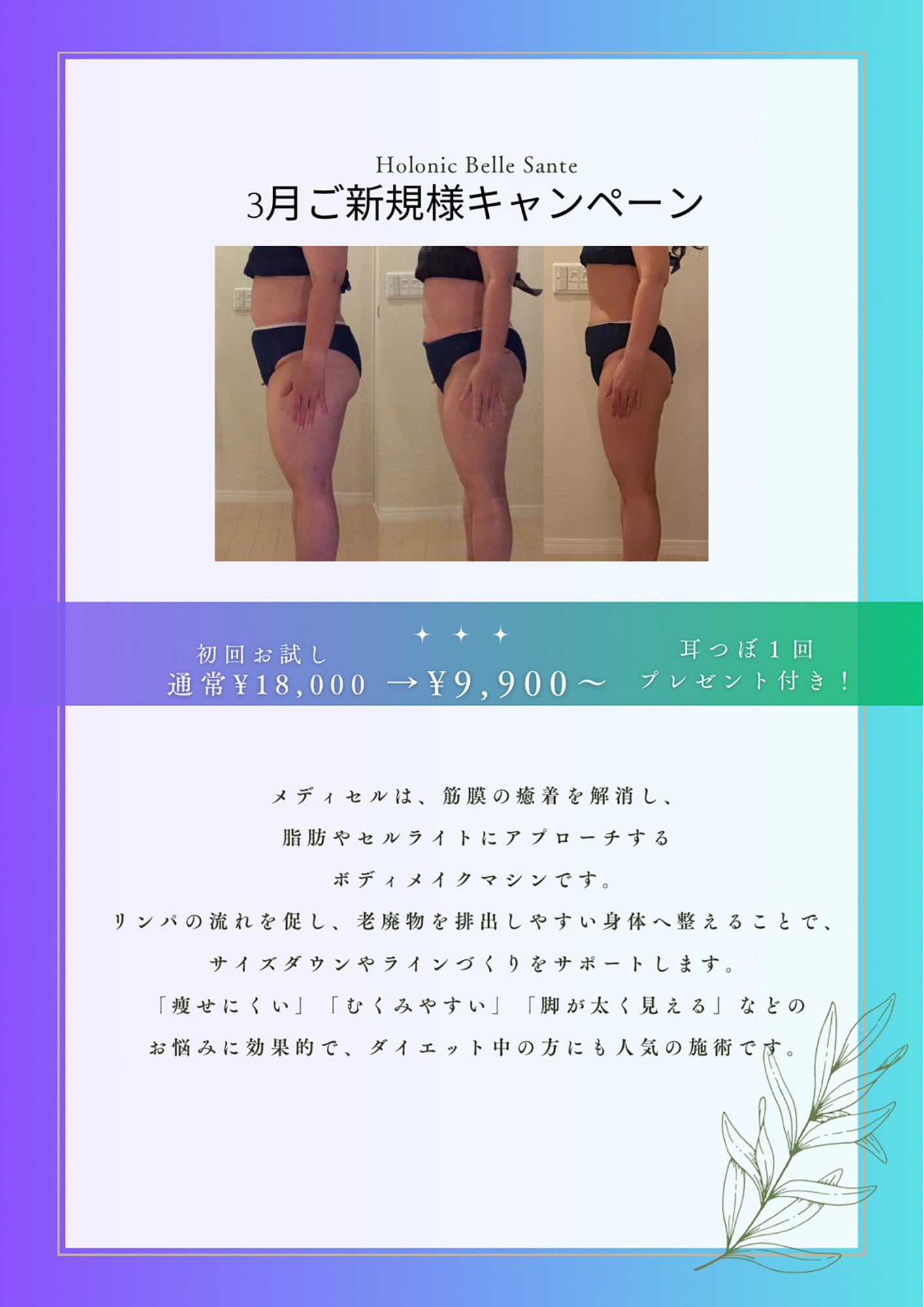 3月キャンペーンのお知らせ