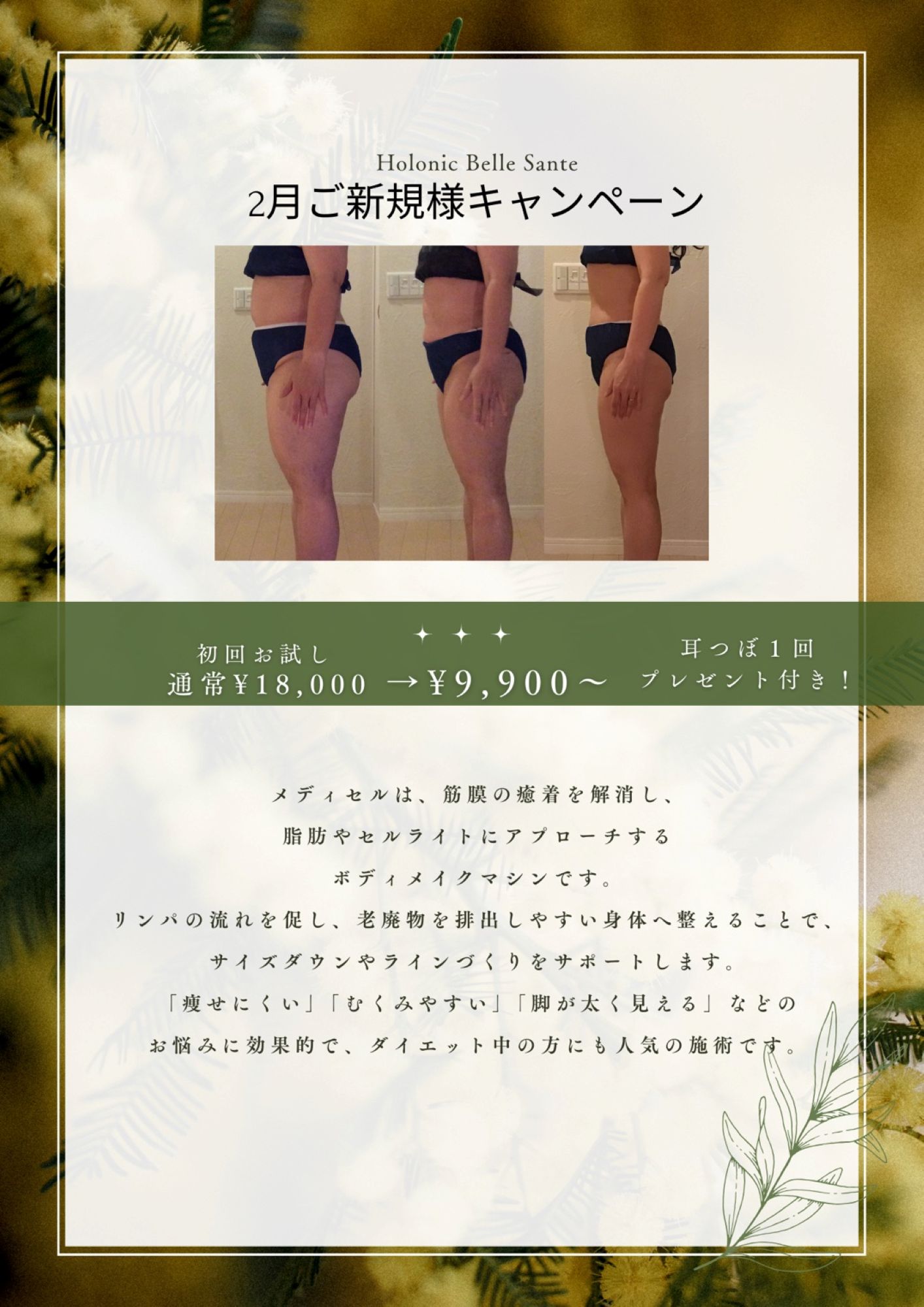 2月キャンペーンのお知らせ